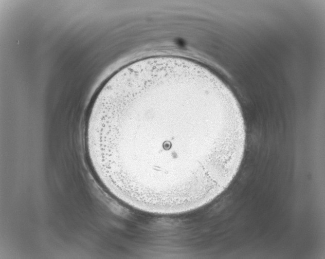 X0000078291514200611172109