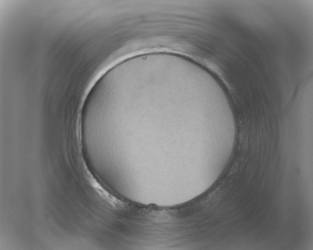 X0000078291516200611172109