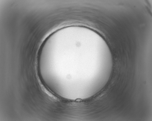 X0000078291518200611172109