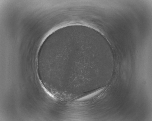 X0000078291519200611172109