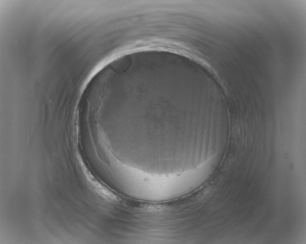 X0000078291522200611172109