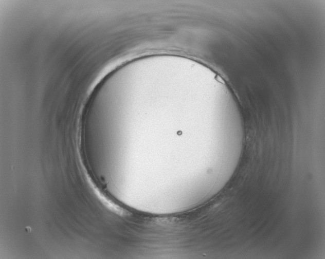 X0000078291523200611172109