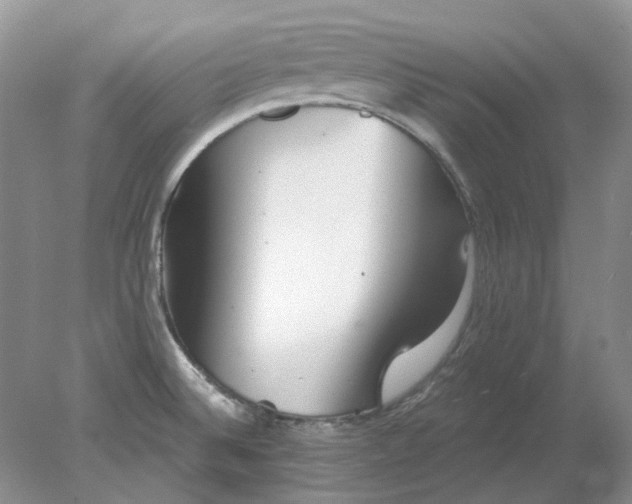 X0000078291524200611172109