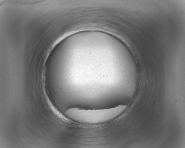 X0000078291526200611172109