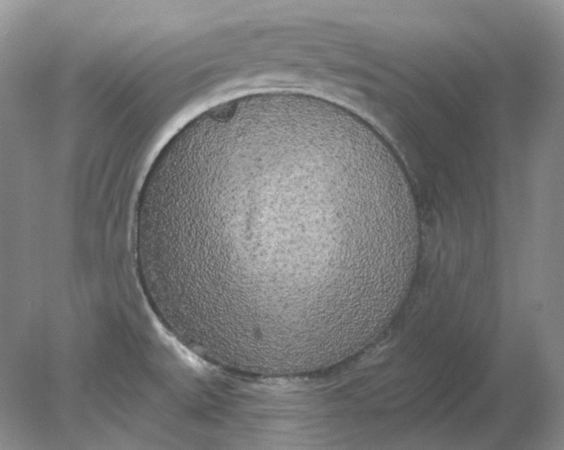 X0000078291527200611172109