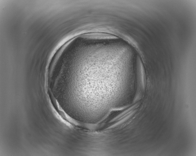 X0000078291528200611172109