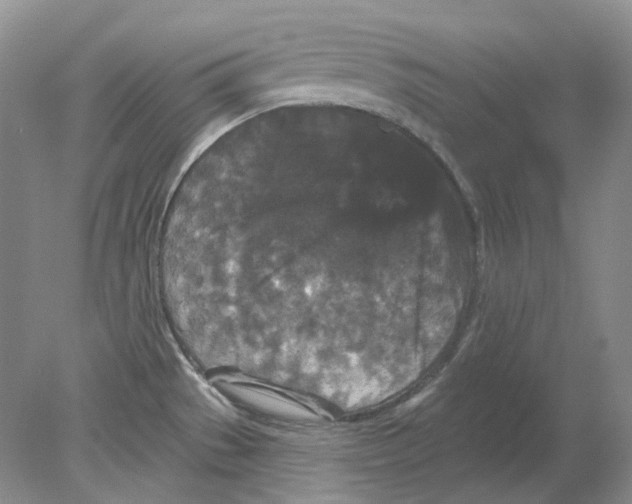 X0000078291529200611172109