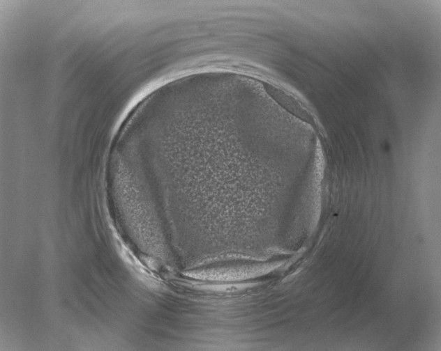 X0000078291530200611172109