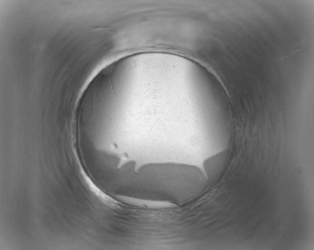 X0000078291531200611172109