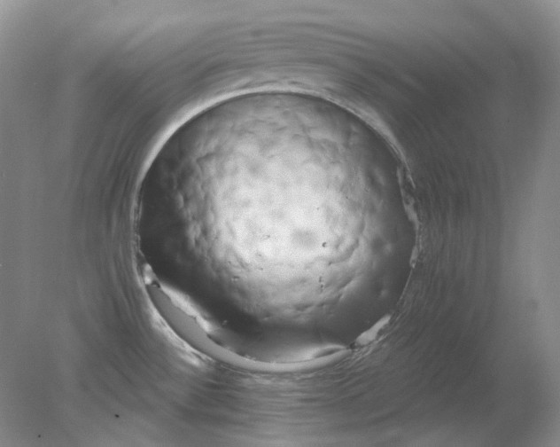 X0000078291532200611172109