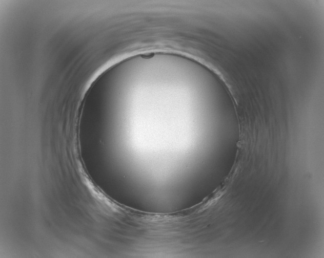 X0000078291534200611172109