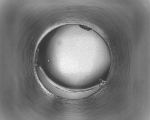 X0000078291536200611172109