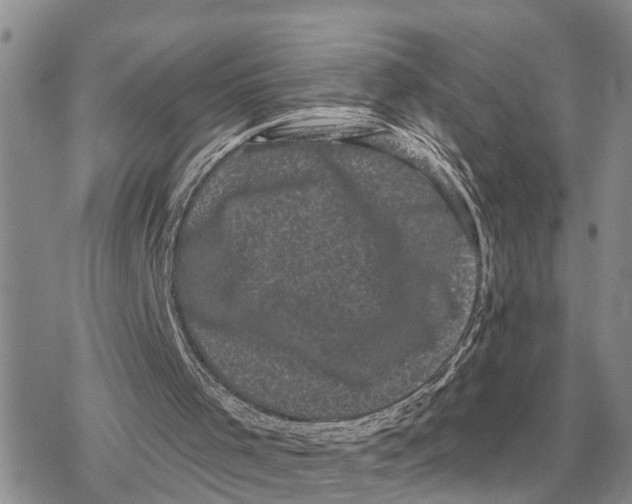 X0000078290001200611251455