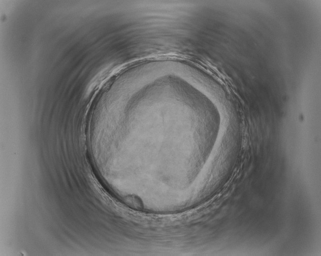 X0000078290002200611251455