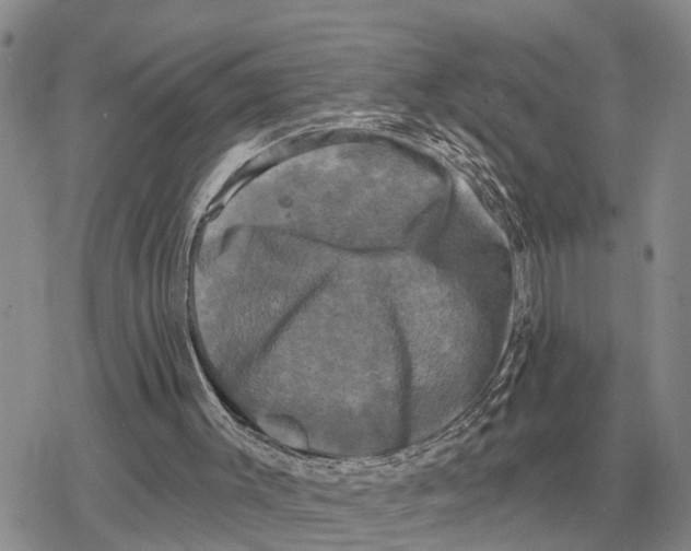 X0000078290003200611251455