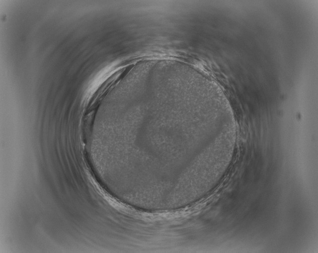 X0000078290005200611251454