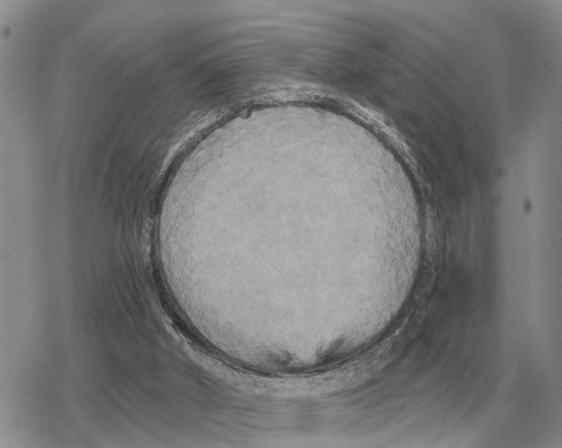 X0000078290010200611251454