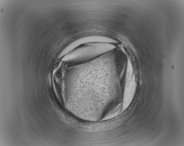 X0000078290021200611251454