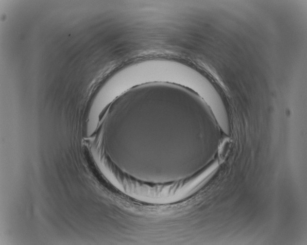 X0000078290023200611251454