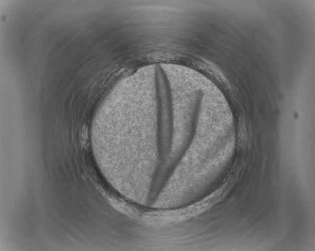 X0000078290025200611251454