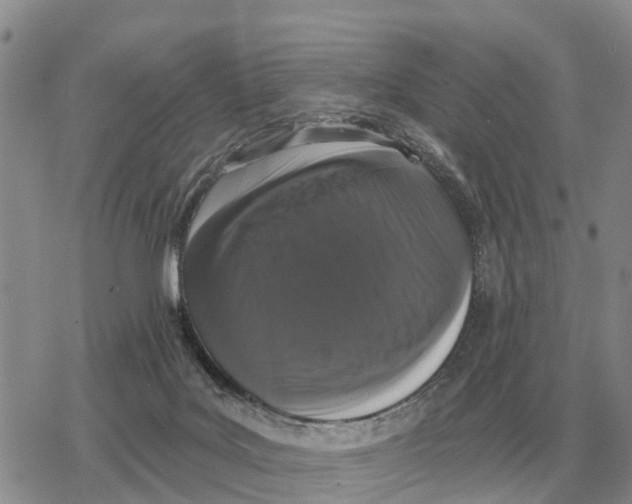 X0000078290027200611251454