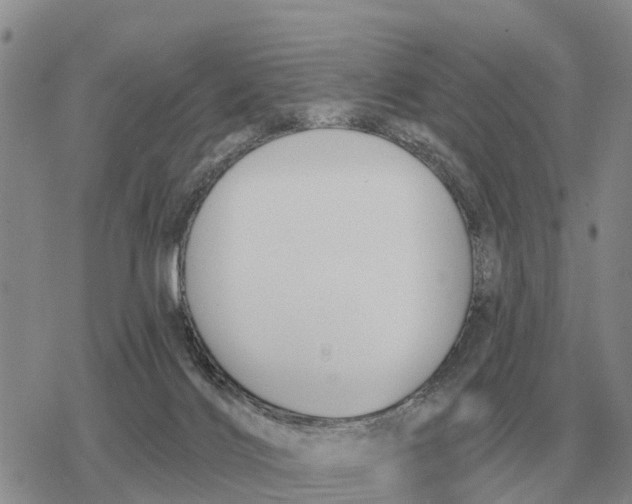 X0000078290028200611251454