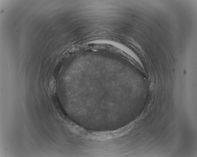 X0000078290029200611251454