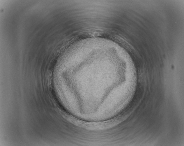 X0000078290030200611251454