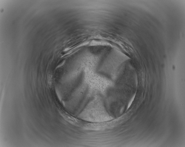 X0000078290033200611251454