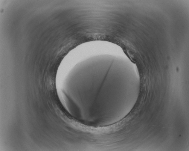 X0000078290039200611251454