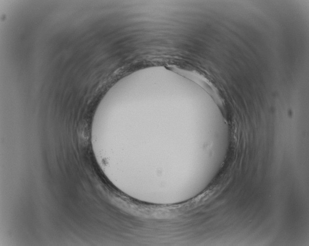 X0000078290040200611251454