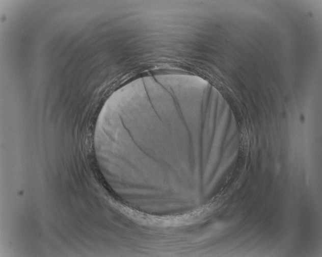 X0000078290043200611251454