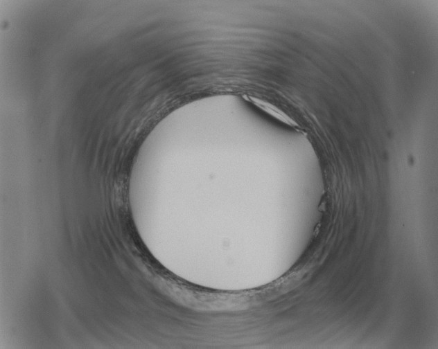 X0000078290044200611251454