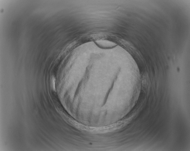 X0000078290046200611251454