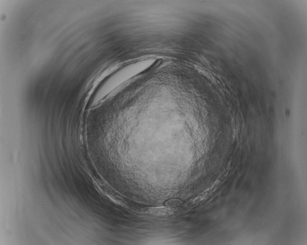 X0000078290050200611251453