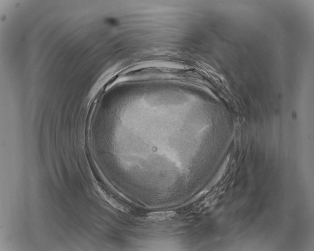 X0000078290051200611251453