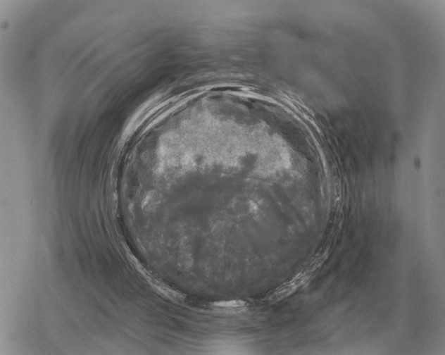 X0000078290053200611251453