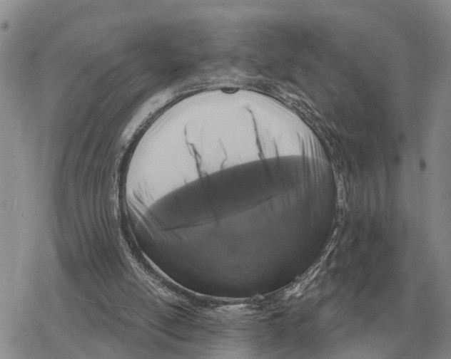 X0000078290054200611251453