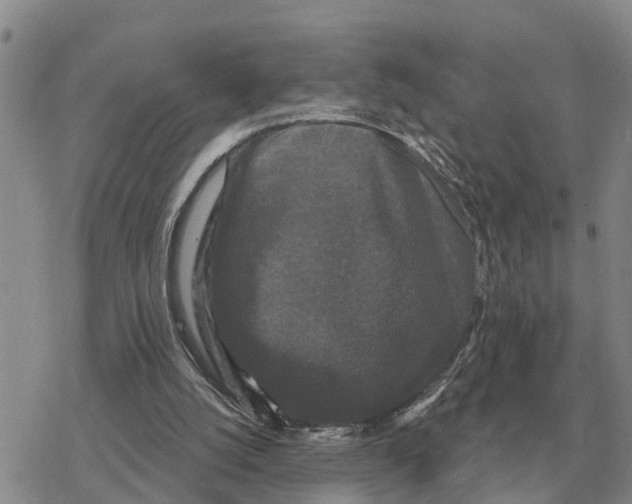 X0000078290056200611251453