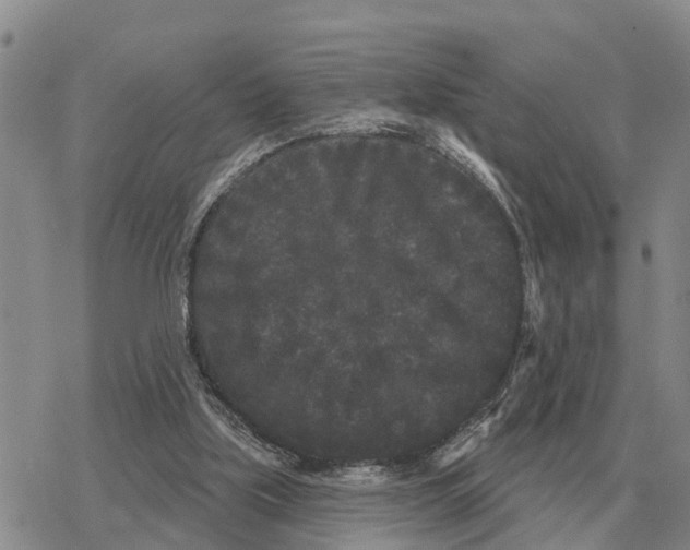 X0000078290059200611251453