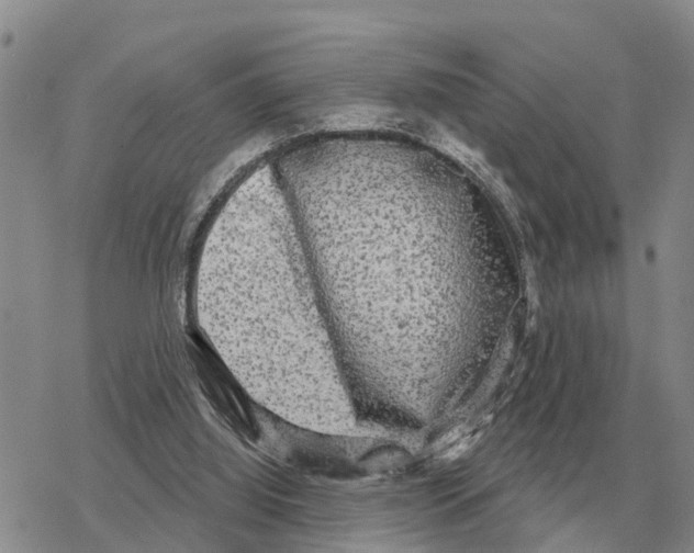 X0000078290060200611251453