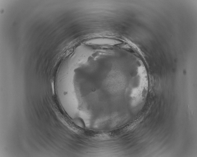 X0000078290061200611251453