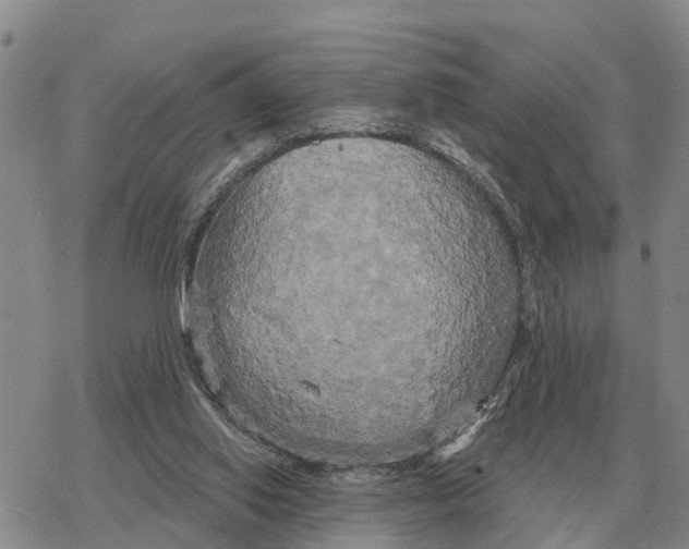 X0000078290062200611251453