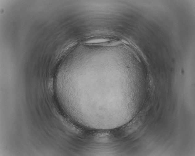 X0000078290066200611251453