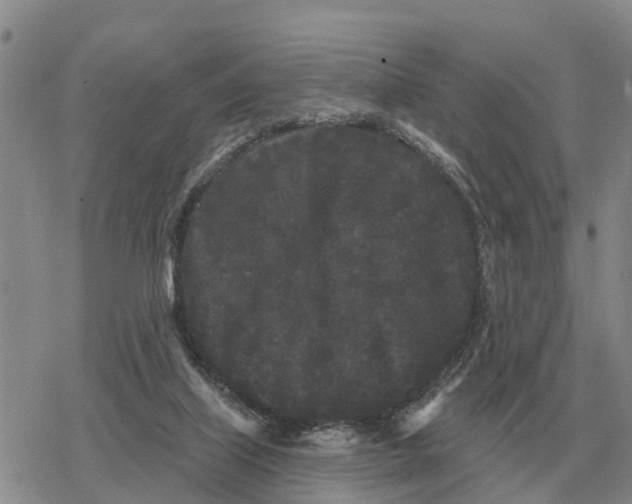 X0000078290067200611251453