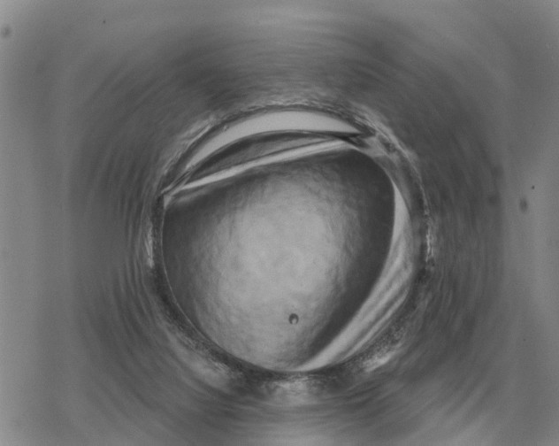 X0000078290068200611251453