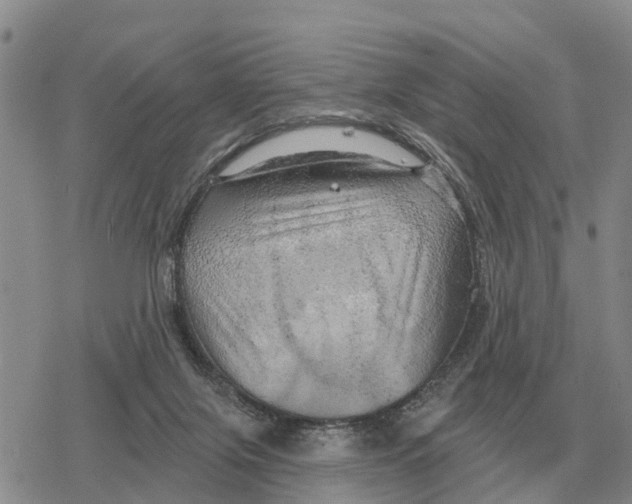 X0000078290071200611251453