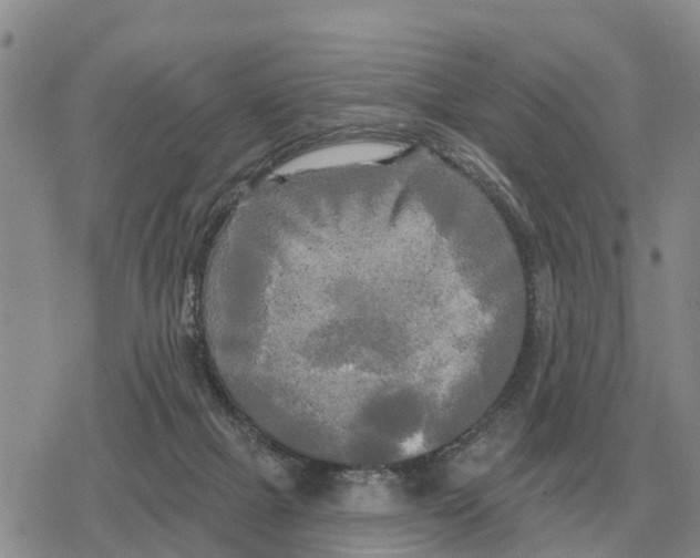 X0000078290073200611251453