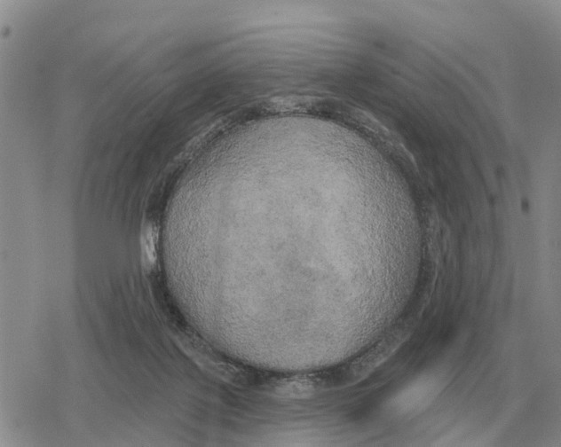 X0000078290075200611251453