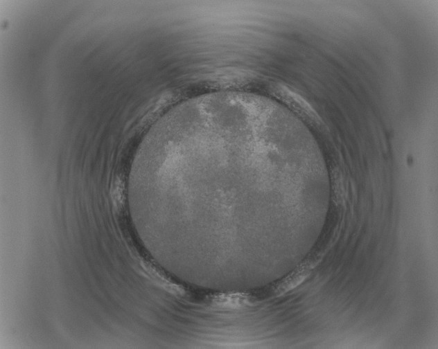 X0000078290077200611251453